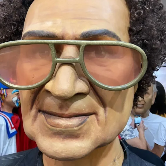 Boneco Reginaldo Rossi
