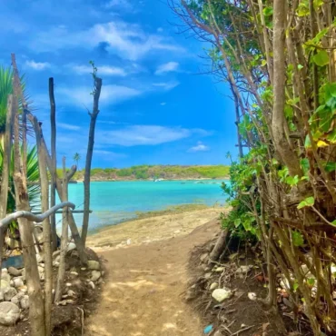 Ilha de Santo Aleixo