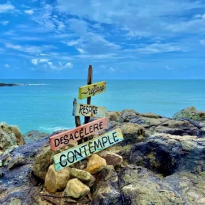 O que fazer na ilha de santo aleixo