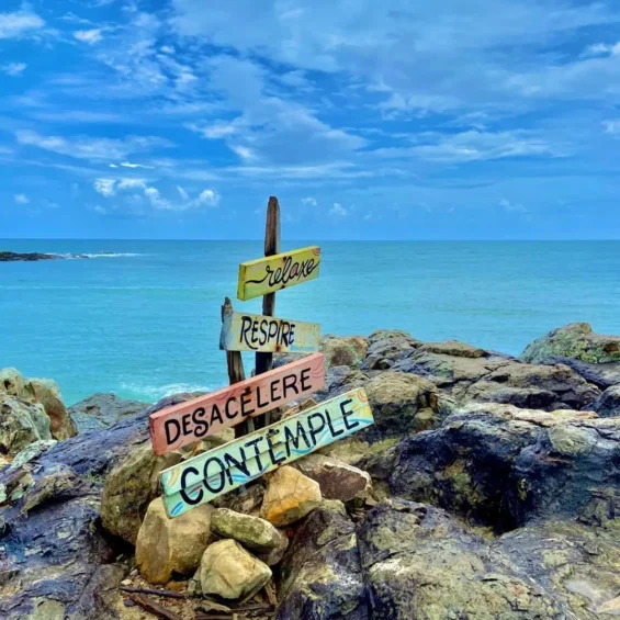 Ilha de Santo Aleixo