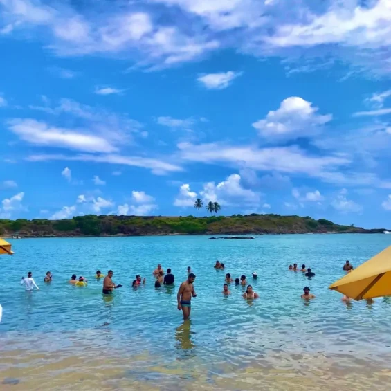 Ilha de Santo Aleixo