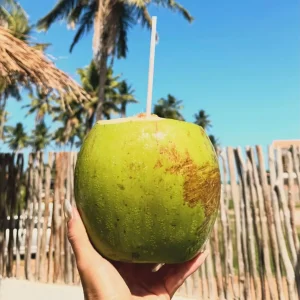 Coco na praia de Maragogi