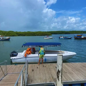 Travessia de lancha para ilha de santo aleixo