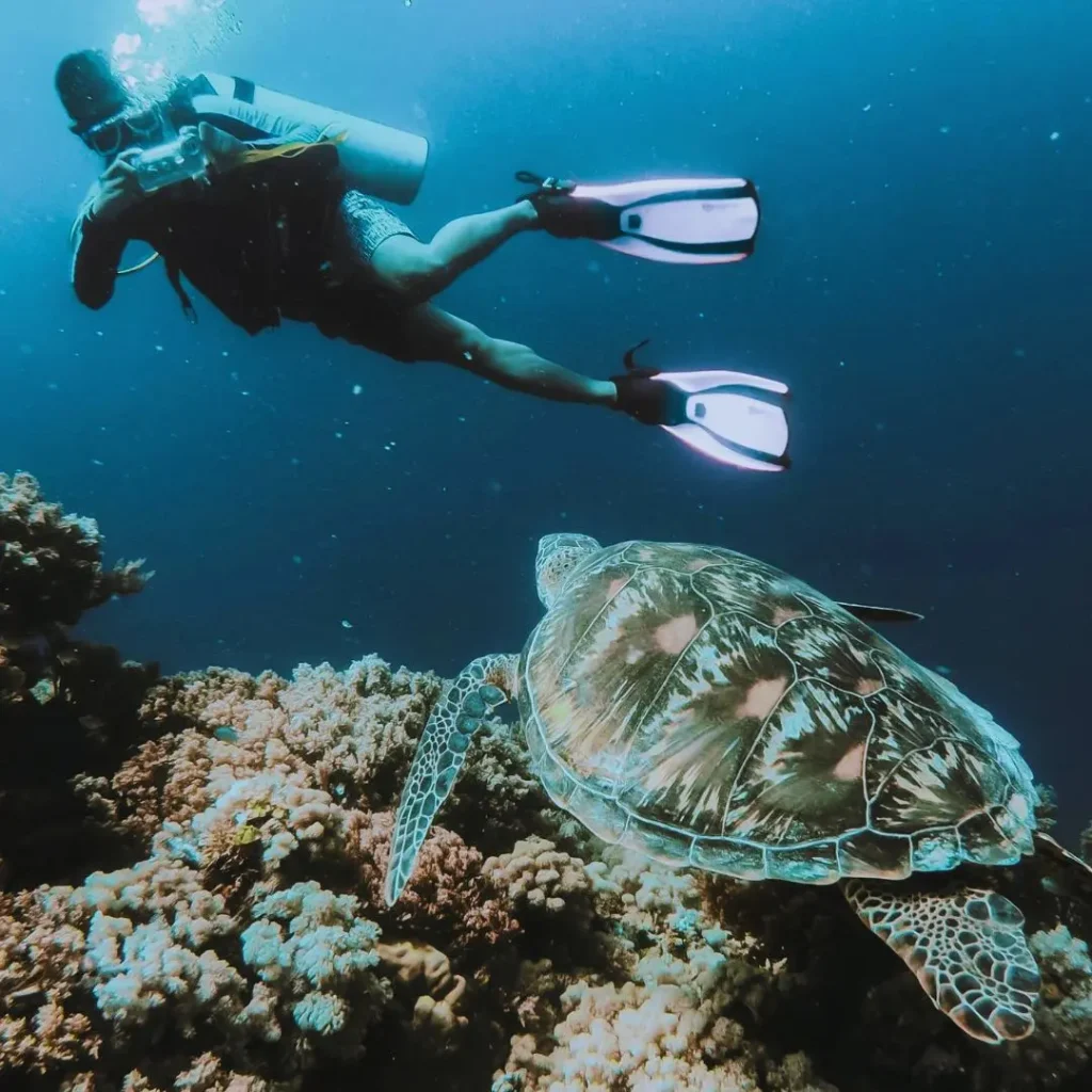Mergulho em Porto de Galinhas