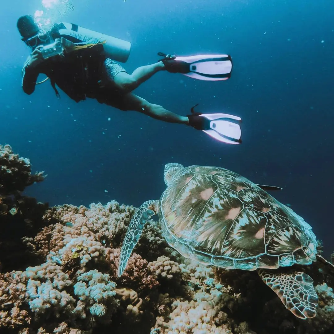 Mergulho em Porto de Galinhas