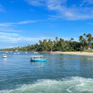 Passeio de barco Praia dos Carneiros
