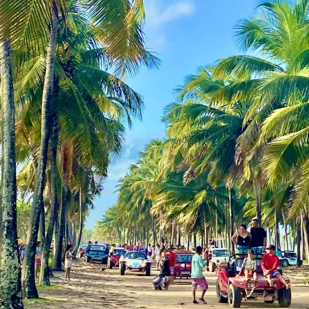 Passeio de Buggy Porto de Galinhas