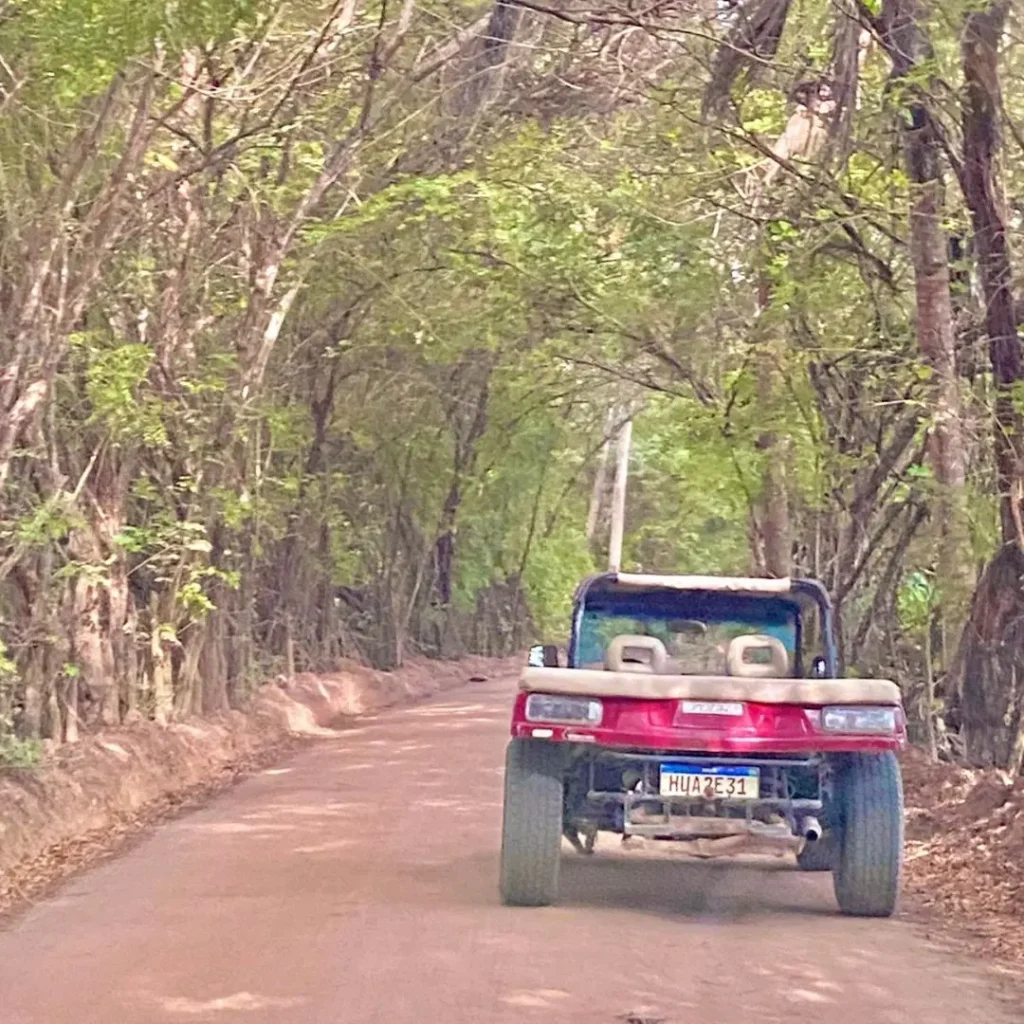 Buggy em São Miguel dos Milagres