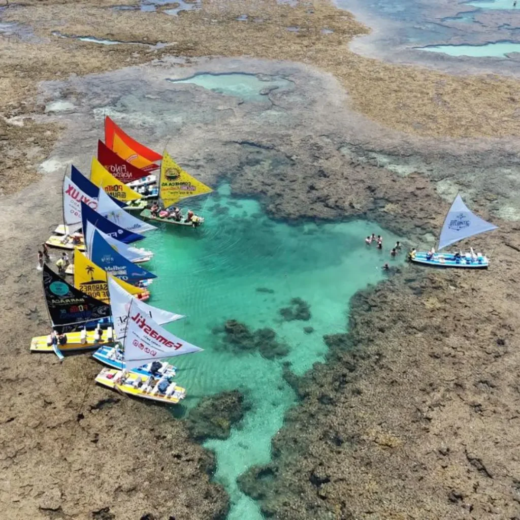 Melhor Maré em Porto de Galinhas