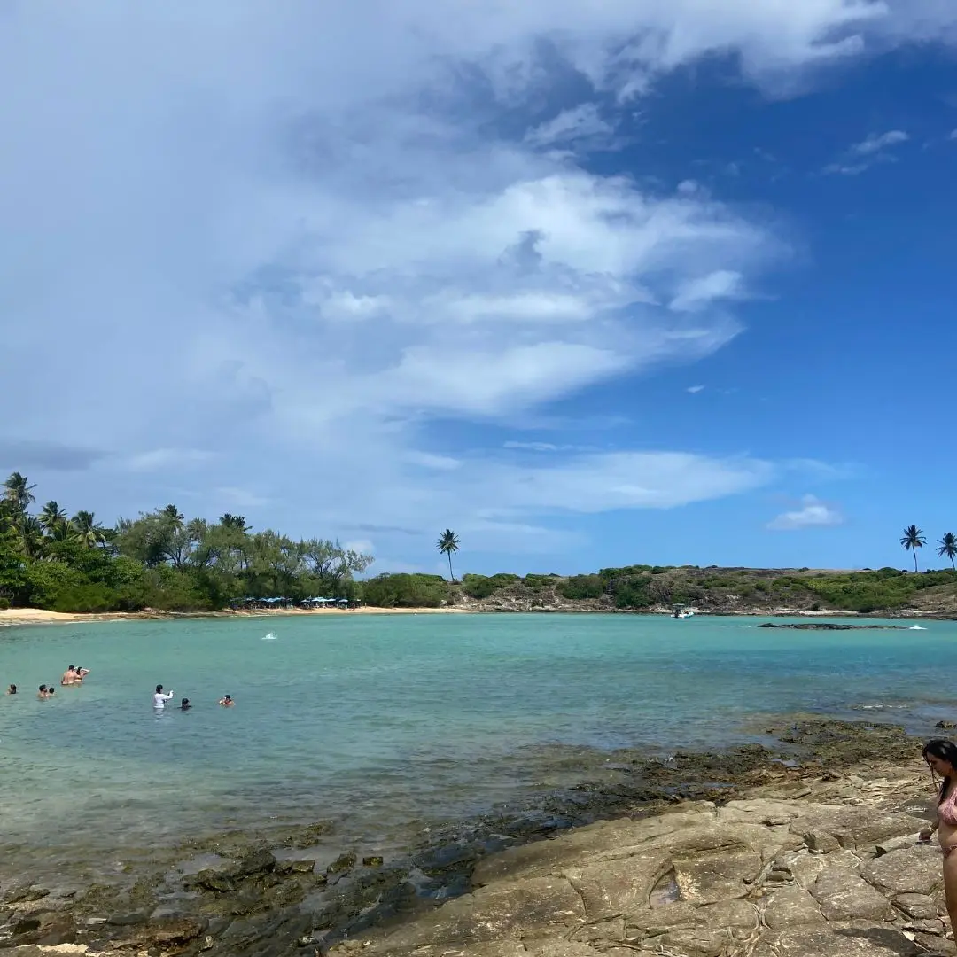 Ilha de Santo Aleixo